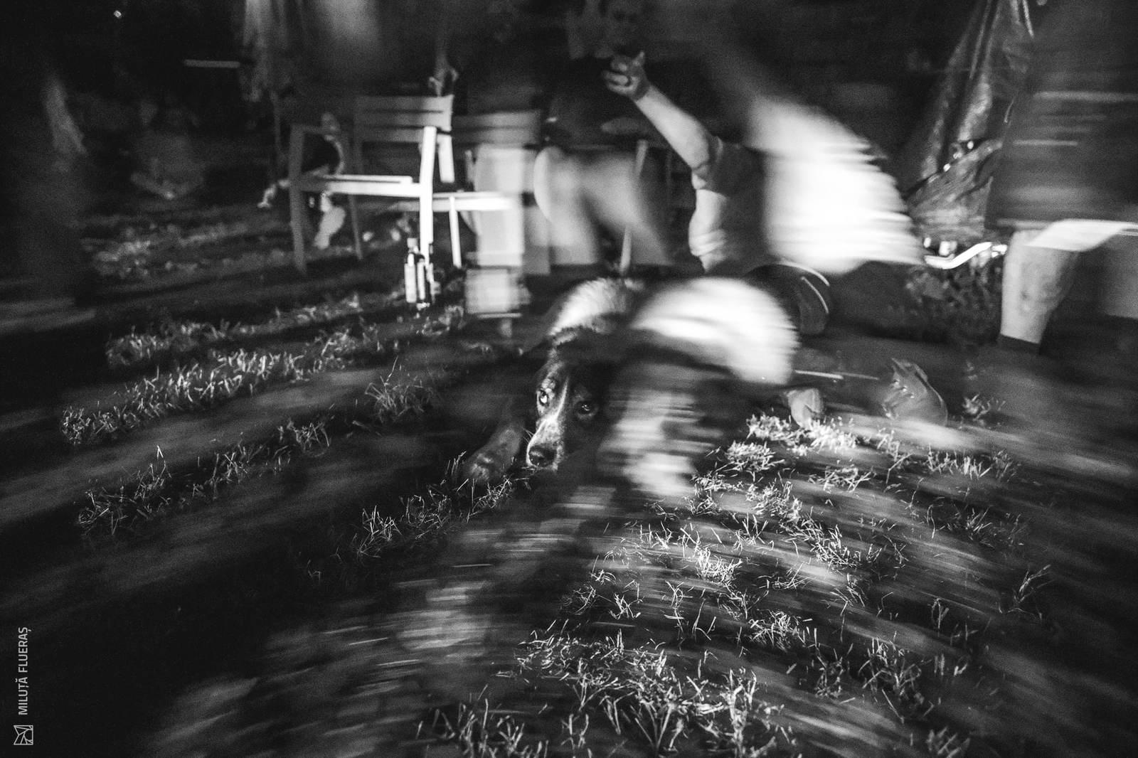 Dark Bombastic Evening 11